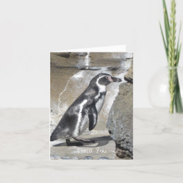 Cartão De Agradecimento Pinguim Obrigado