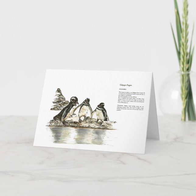 Cartão De Agradecimento Pinguins de Impressão pintados de mão ameaçados Ob (Frente)