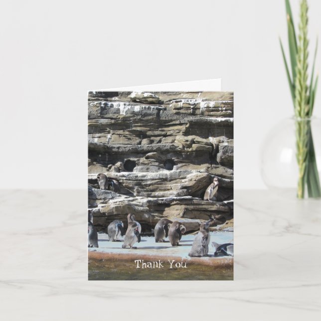 Cartão De Agradecimento Pinguins Obrigado (Frente)