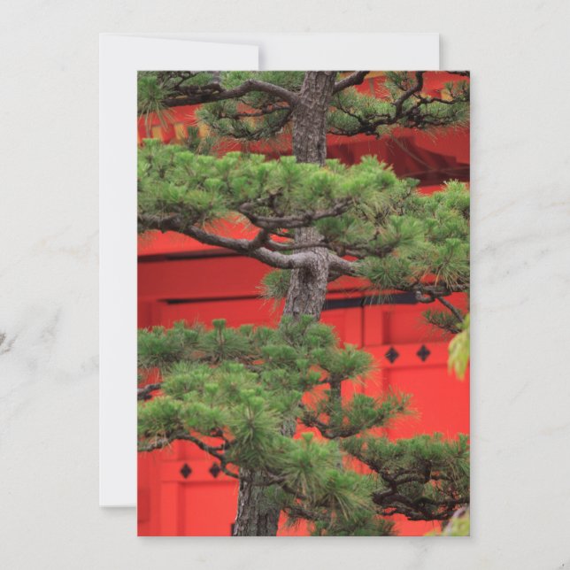 Cartão De Agradecimento Pinheiro Bonsai (Frente)