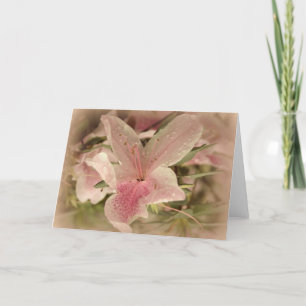 Cartão De Agradecimento Pink Azalea