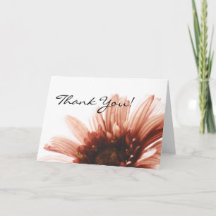 Cartão De Agradecimento Pink Daisy Obrigado