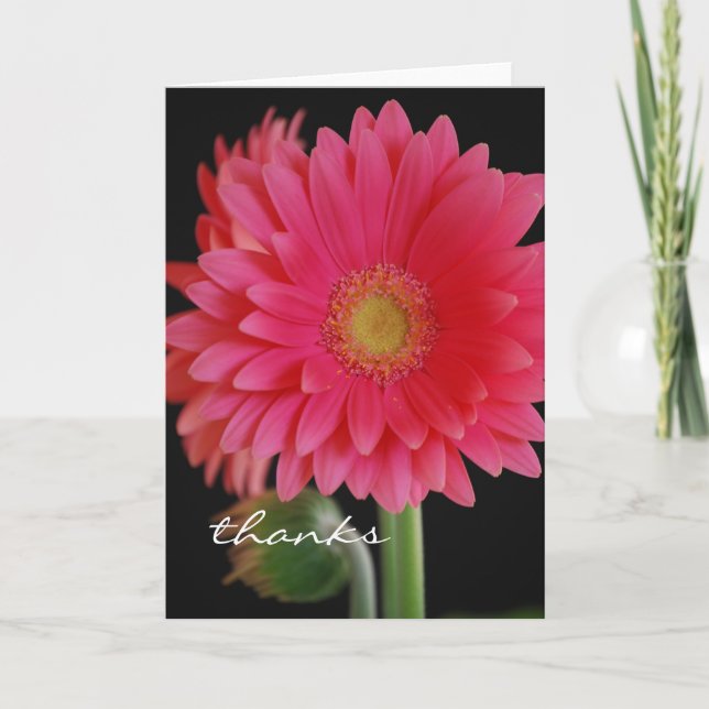 Cartão de agradecimento Pink Gerbera Daisy (Frente)