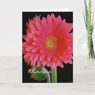 Cartão de agradecimento Pink Gerbera Daisy