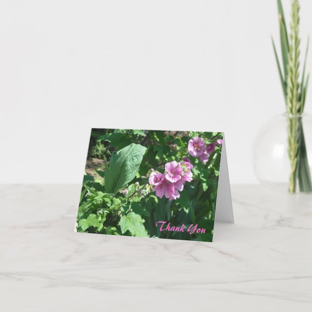 Cartão De Agradecimento Pink Hollyhocks Thank You (Frente)