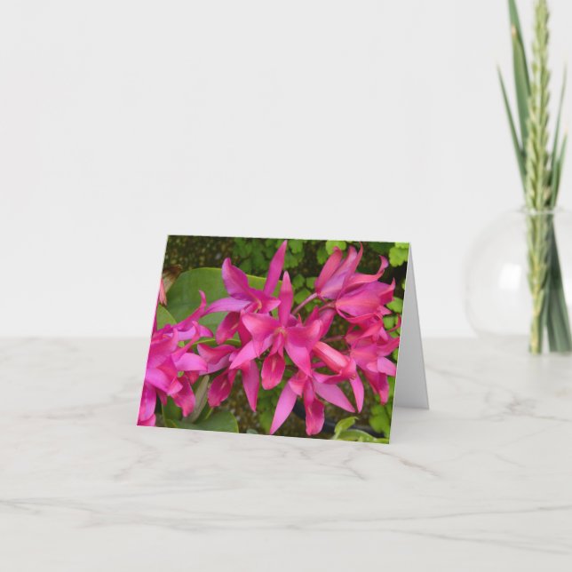 Cartão De Agradecimento Pink Orchids All Occasions Customizable Card (Frente)