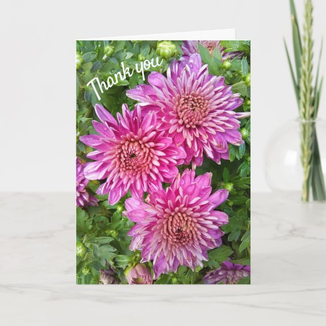 Cartão De Agradecimento Pink-Purple Chrysanthemums with Raindrops (Frente)