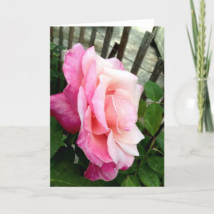 Cartão De Agradecimento Pink Rose
