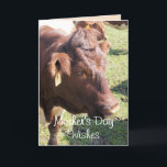 Cartão De Agradecimento Pinzgauer 8374 Mother's Day-or make any occasion<br><div class="desc">change the words on the front and inside for any occasion you want. Everyone that admires and enjoy the beautiful Pinzgauer cattle will appreciate receiving cards and gifts that feature them. To see more cards and gift items featuring Pinzgauers go to my PINZGAUER CATTLE CARDS & GIFTS SECTION.</div>