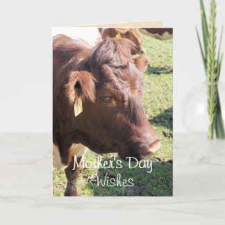 Cartão De Agradecimento Pinzgauer 8374 Mother's Day-or make any occasion