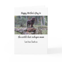 Placa de Dia de as mães Cockapoo