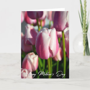 Cartão De Agradecimento Placa de Dia de as mães de Foto Tulipas Rosa