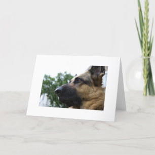 Cartão De Agradecimento Placa de german shepherd