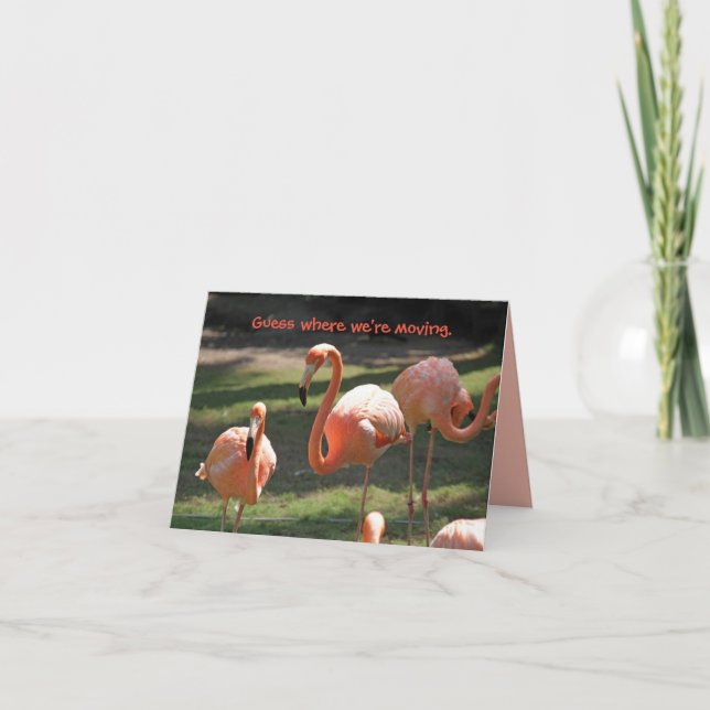 CARTÃO DE AGRADECIMENTO PLACA DE MOVIMENTO FLORIDA FLAMINGOS (Frente)