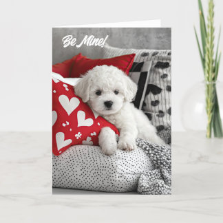 Cartão De Agradecimento Placa de Namorados Bichon Frise Puppy