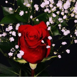 Cartão De Agradecimento Placa de Namorados romântica