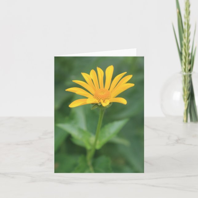 Cartão De Agradecimento Placa de Nota de Flor Amarelo Solitária (Frente)