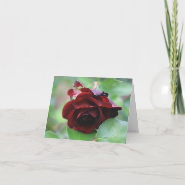 Cartão De Agradecimento Placa de Nota de Rosa vermelha Profunda Elegante (Frente)