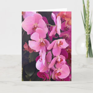 Cartão De Agradecimento Placa de Nota de Vazio Orchids