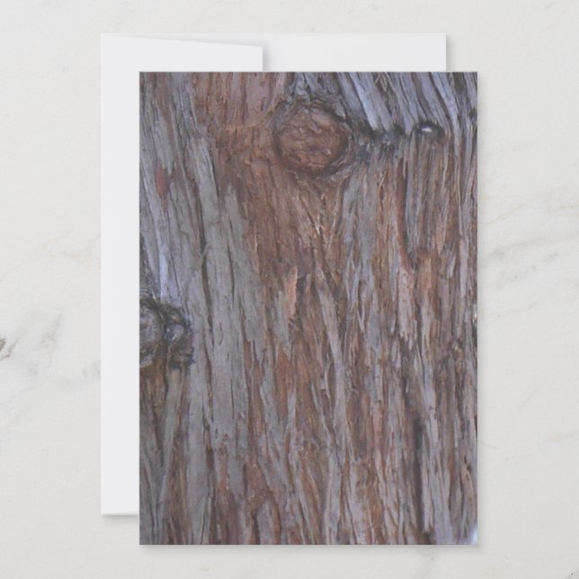 Cartão De Agradecimento Placa de Nota Tree Men Faces (Frente)