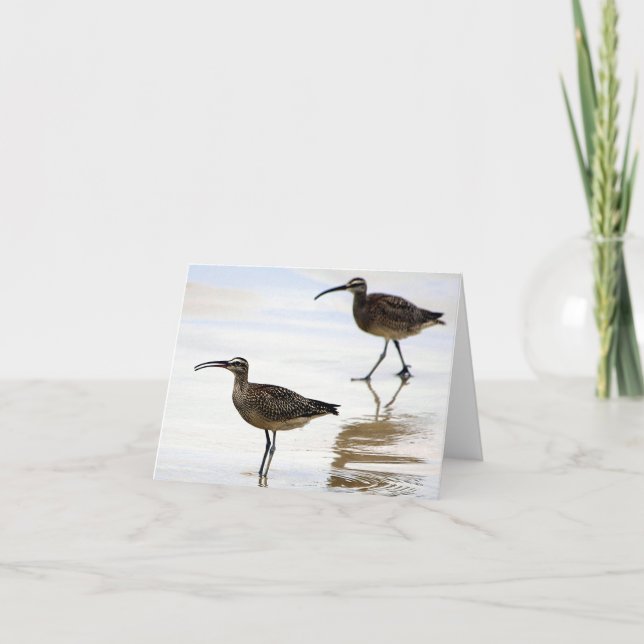 Cartão De Agradecimento Placa de saudação do vazio com Whimbrel design (Frente)
