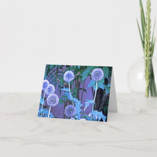 Cartão De Agradecimento Placa de saudação dobrada, pequena, 4" x 5,6" (Frente)