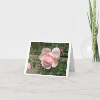 Cartão De Agradecimento Placa de saudação dobrada, pequena, 4" x 5,6"