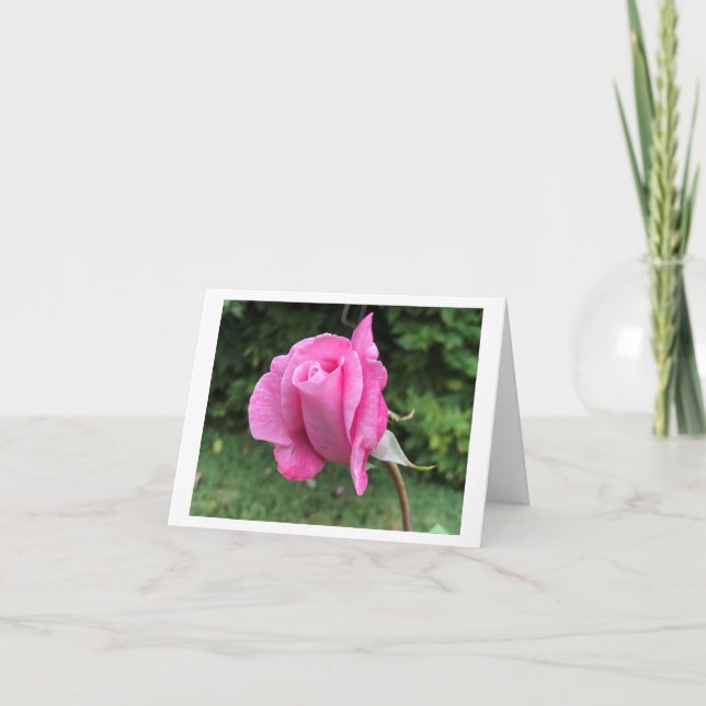 Cartão De Agradecimento Placa de saudação dobrada, pequena, 4" x 5,6" (Frente)