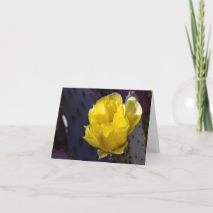 Cartão De Agradecimento Placa de Vazio Blossom de Cactus Brilhante