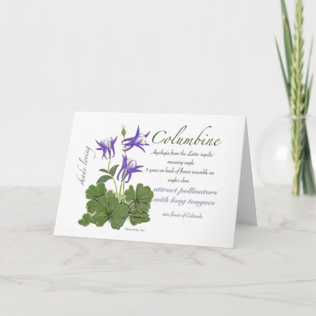 Cartão De Agradecimento Placa de Vazio Columbine (Frente)