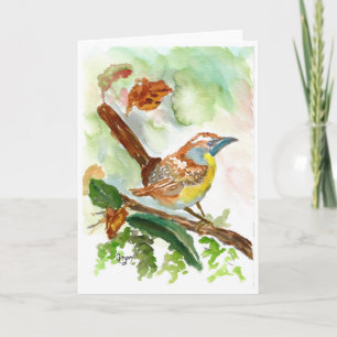 Cartão De Agradecimento Placa de vazio de aquarela Wren