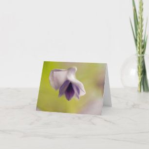 Cartão De Agradecimento Placa de Vazio de Flor Flutuante E Adorável