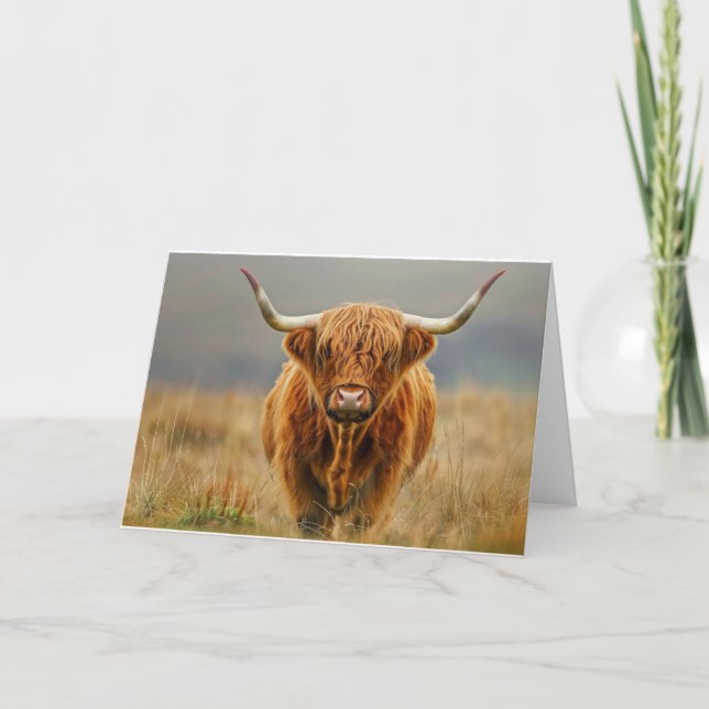 Cartão De Agradecimento Placa de Vazio de Vaca Highland (Frente)