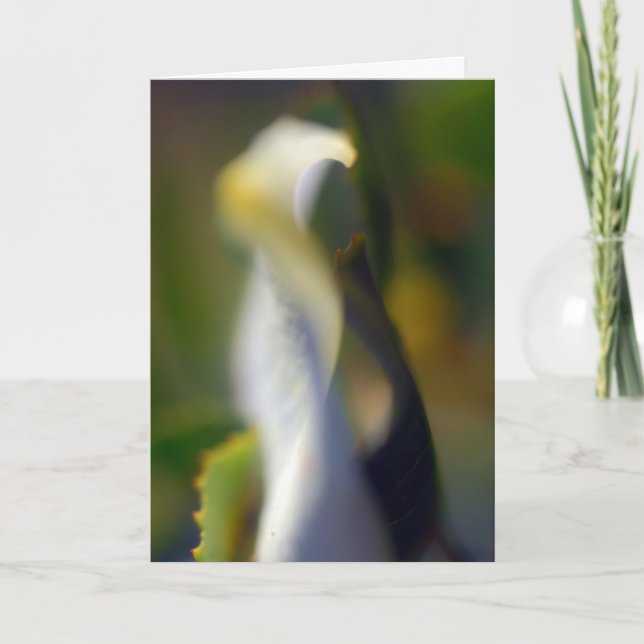 Cartão De Agradecimento Placa de Vazio Floral Dobrada Graceful (Frente)