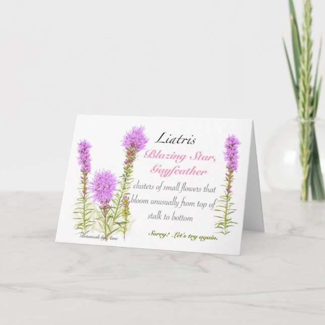 Cartão De Agradecimento Placa de Vazio Liatris (Frente)