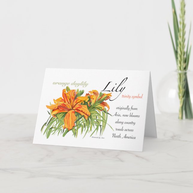 Cartão De Agradecimento Placa de Vazio Lily (Frente)