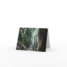 Placa de vazio, Muir Woods