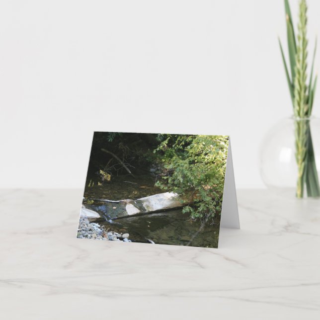 Cartão De Agradecimento Placa de vazio, Muir Woods (Frente)