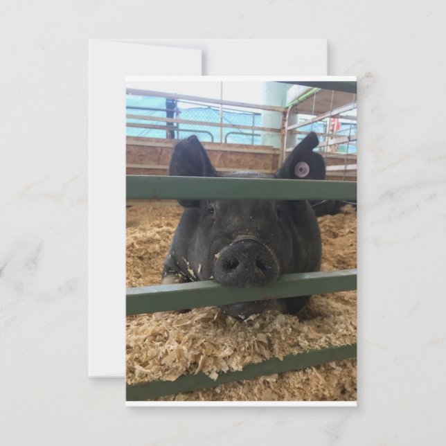 Cartão De Agradecimento Placa dentro do vazio para porcos (Frente)