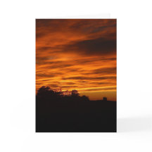 Placa Halo Poem Dentada por Cirurgia Cerebral