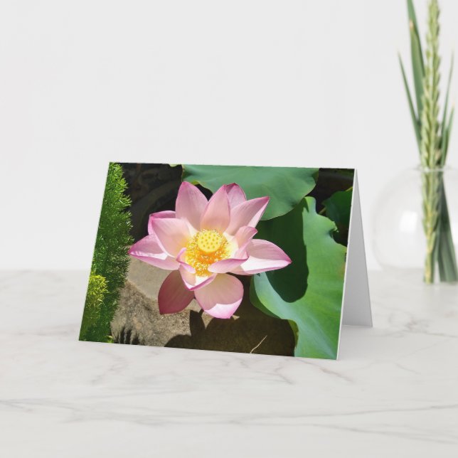 Cartão De Agradecimento Placa Lotus (Frente)