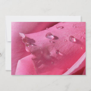 Cartão De Agradecimento Placa para Rosa de torre Eiffel