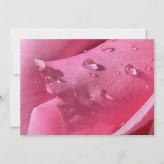 Cartão De Agradecimento Placa para Rosa de torre Eiffel