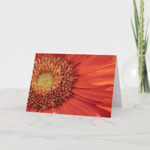 Cartão De Agradecimento Placa para Vazio Flor
