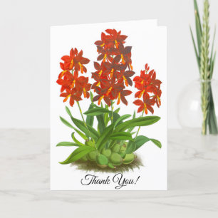 Cartão De Agradecimento Placa Personalizada de Flor Laranja Vermelho Orquí