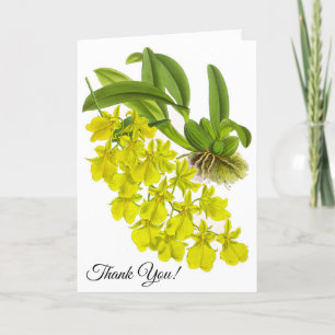 Cartão De Agradecimento Placa Personalizada Vintage Yellow Orchid Flower_G