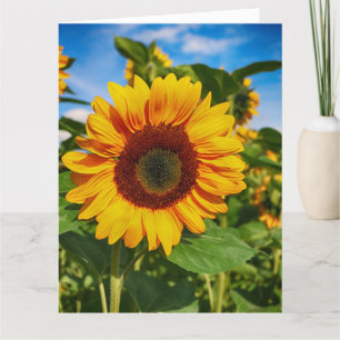 CARTÃO DE AGRADECIMENTO PLACA SIMPATIA DE GREETING DE MENSAGENS SIMPLES SF