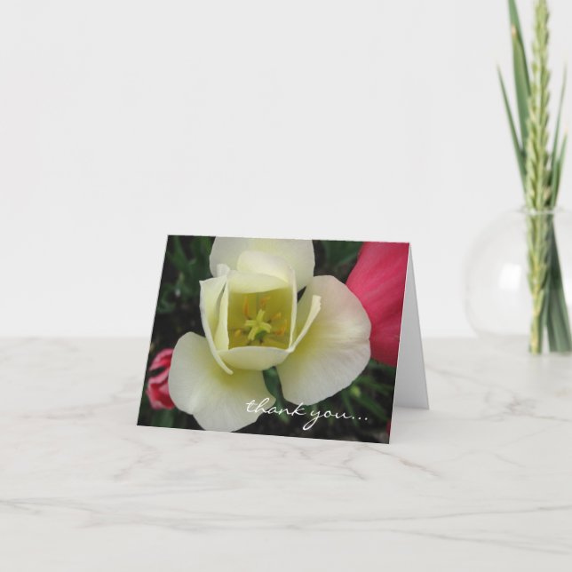 Cartão De Agradecimento Placa Tulip Personalizável (Frente)