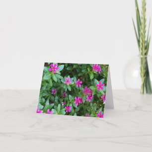 Cartão De Agradecimento Placas de Nota de Flor