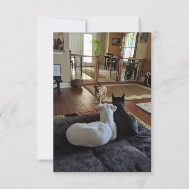 Cartão de Agradecimento Plano de Cães de Resgate 3 (Frente)